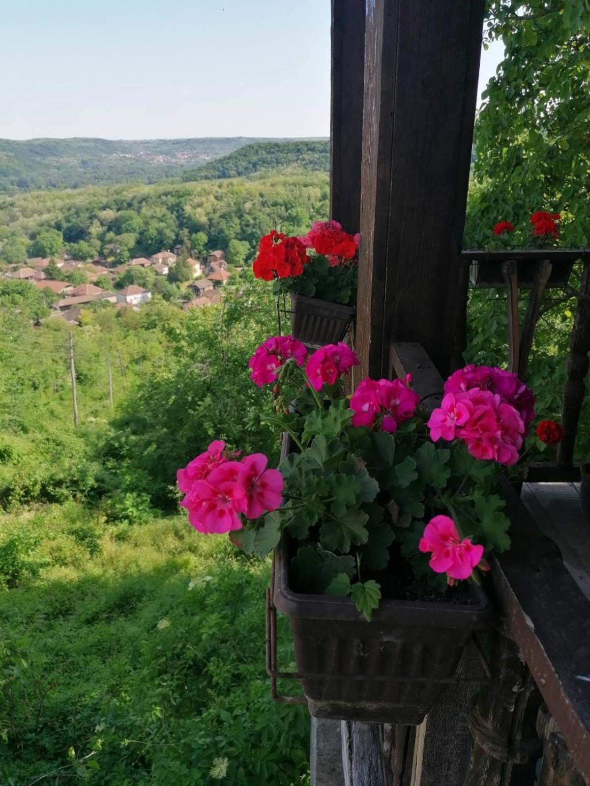 Country House Pivnica Milic Rogljevo Apartment Exterior photo